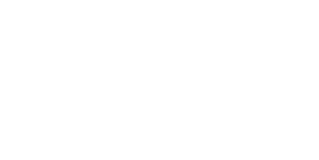 Stolz Engineering Logo